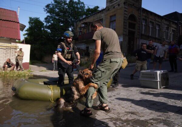 Rescuers Rush to Save Flood Survivors in Ukraine: Here’s How to Supply a Lifeline