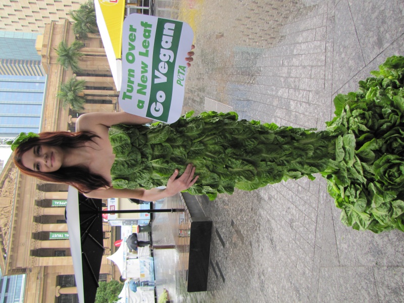 lettuce lady australia