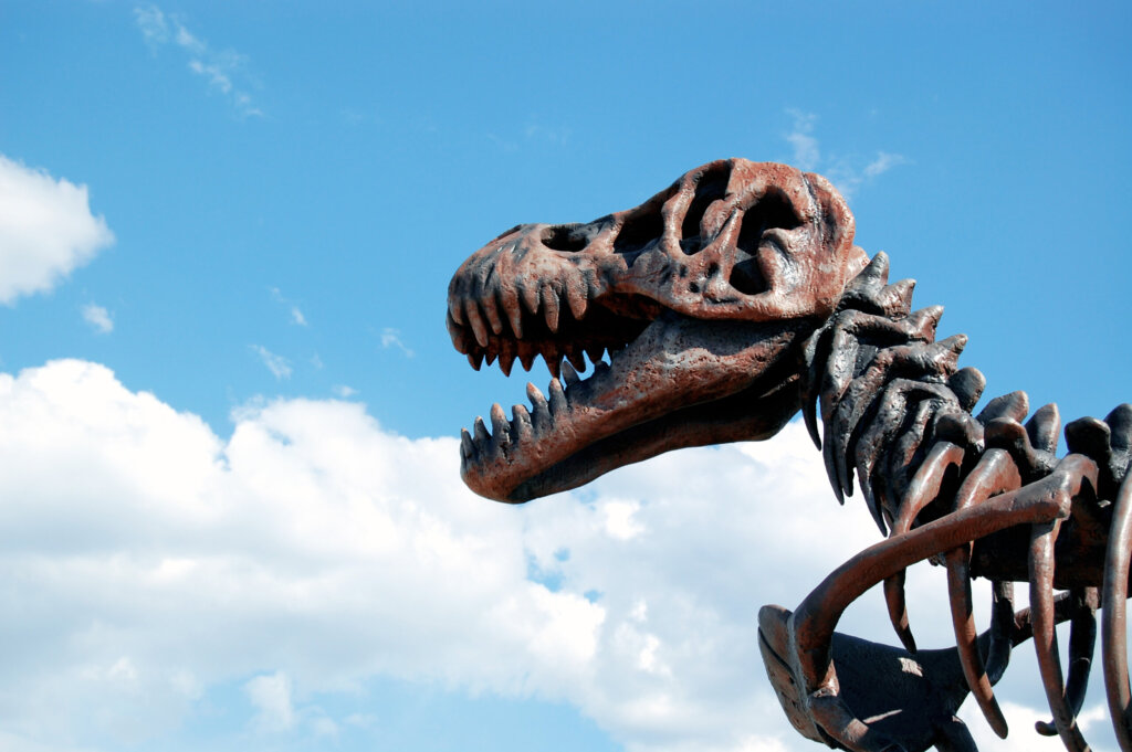 dinosaur