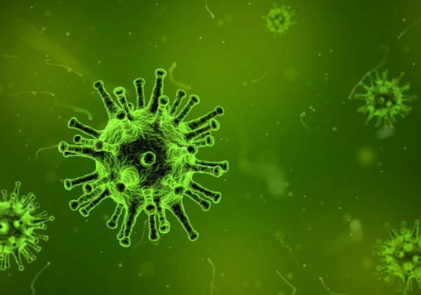 An image of a virus.
