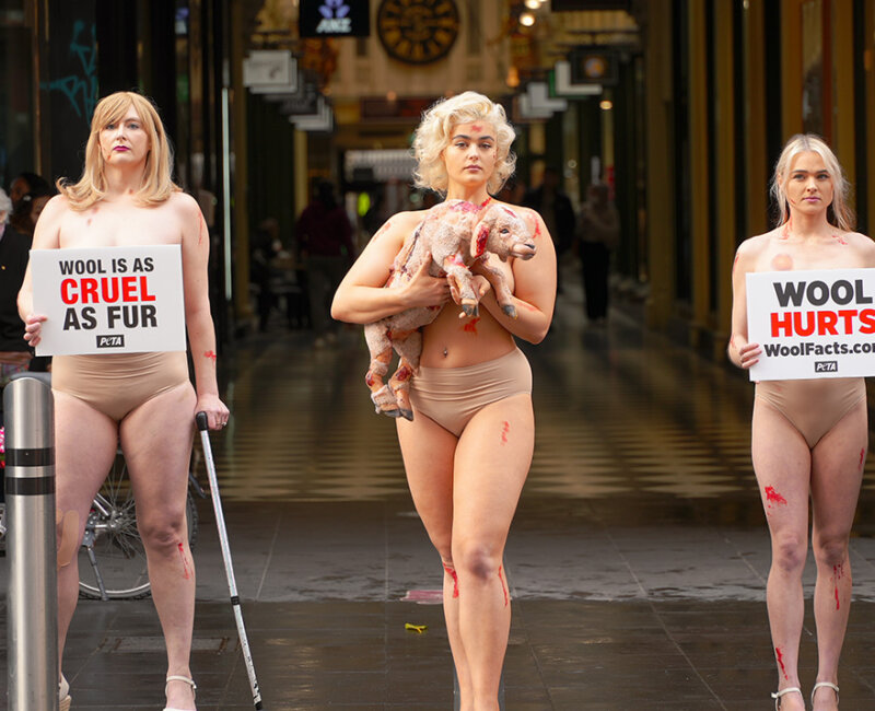 Three women stand in Melbourne