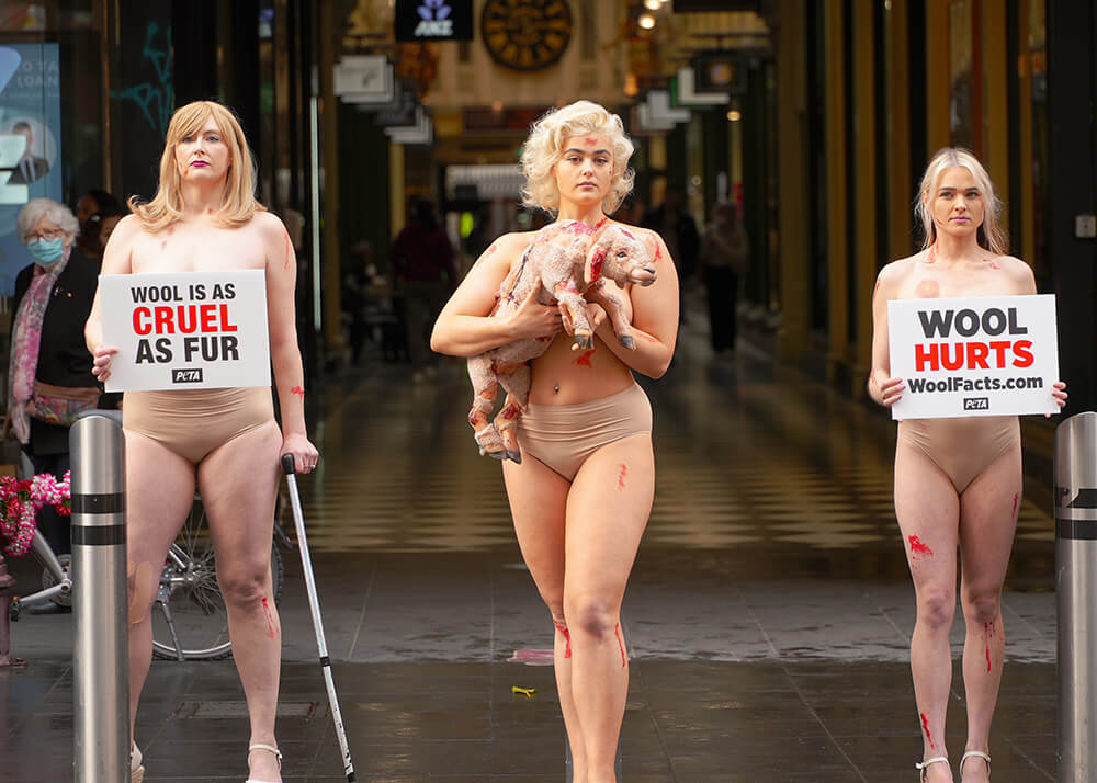 Three women stand in Melbourne's Bourke Street Mall. On the left, holding a sign that reads "Wool is as Cruel as Fur", the middle holding a prop lamb, the right with a sign that says "Wool Hurts"