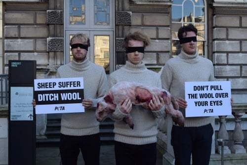 woolmark protest