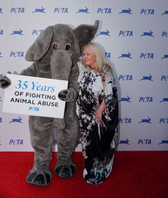 PETA US Celebrates Its 35th Anniversary!