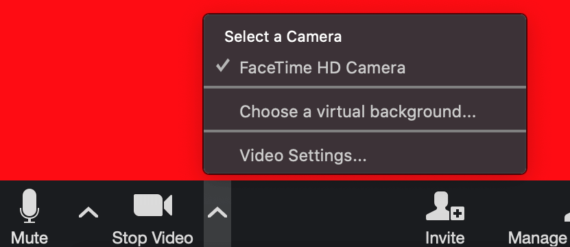 A screenshot of how to set your zoom background settings.