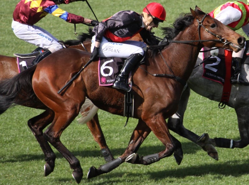 The Melbourne Cup: The Race That Divides the Nation